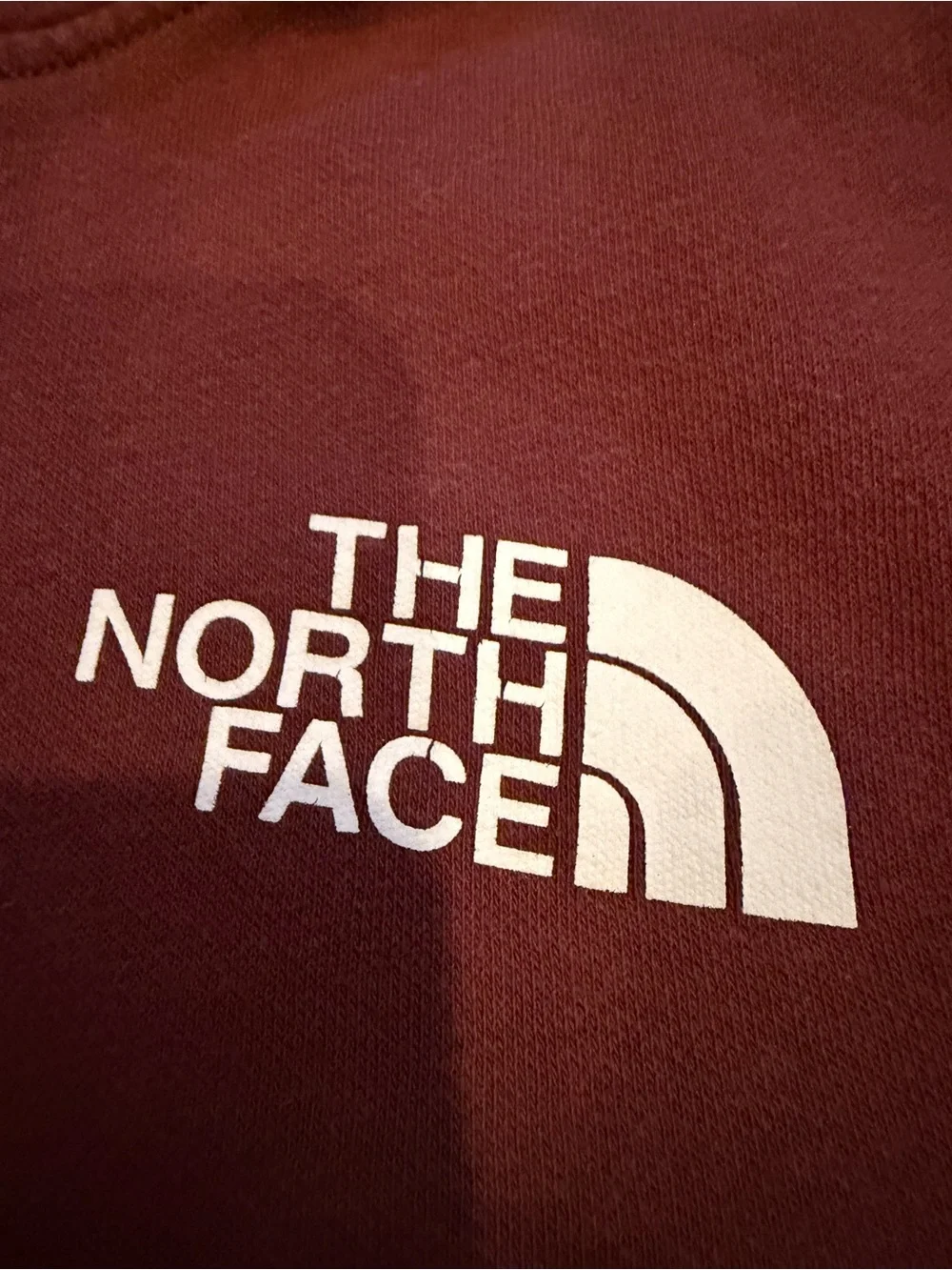 The North Face Men's Deep Rich Brown Pullover Hoodie with Chest Logo